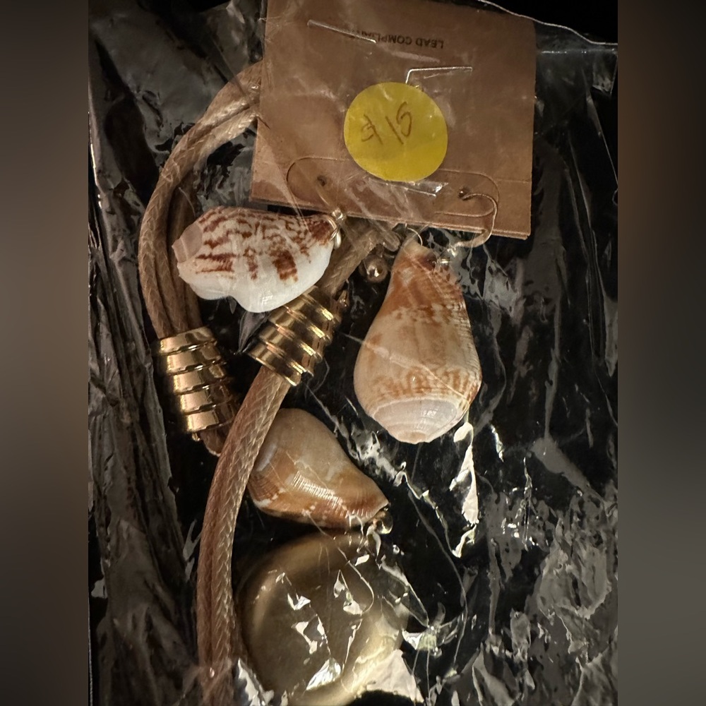 New Shell Necklace and Earrings